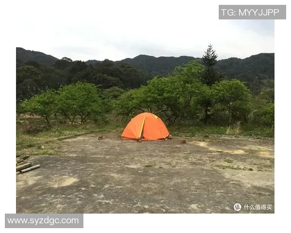 从化地区室内篮球场推荐及查询指南助你找到最佳打球场所